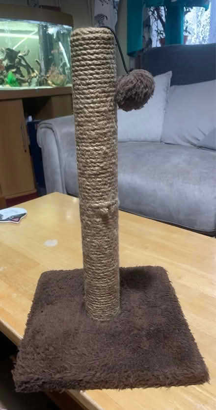 Photo of free Scratching Post N10 Muswell Hill (Colney Hatch N10) #1