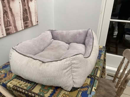 Photo of free Fluffy Dog Basket (E12) #1