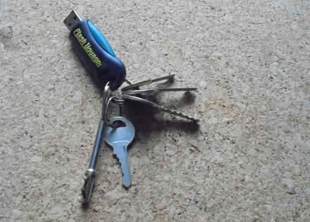 Photo of free LOST - Bunch of 5 keys (Kidlington OX5) #1