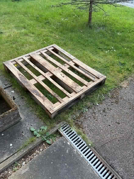Photo of free A Pallet (Dussindale NR7) #1