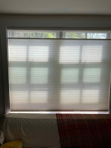 Photo of free Honeycomb window shade (Hastings on Hudson) #1