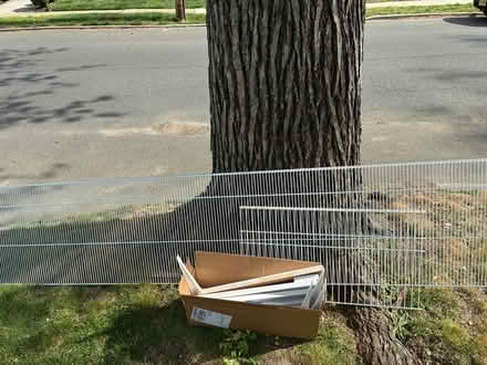 Photo of free Curb Alert (Haddon Heights, NJ) #1