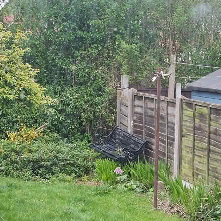 Photo of free Garden items (LS26 rothwell) #2
