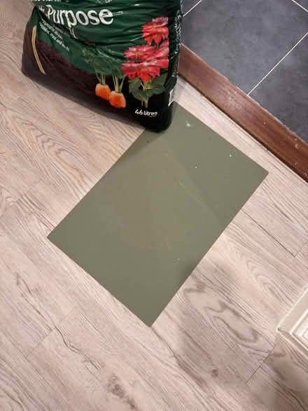 Photo of free Green cat food mat (Hackney Downs E5) #1