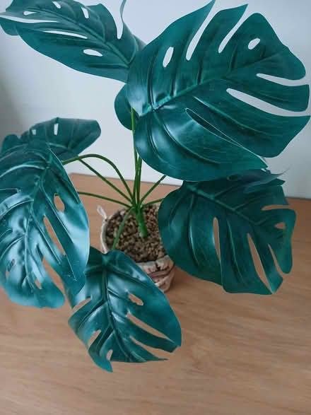 Photo of free Table top artificial plant (Waldridge Park DH2) #2