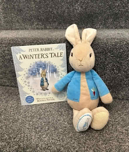 Photo of free Peter Rabbit Book & Toy (Hemel Hempstead HP3) #1