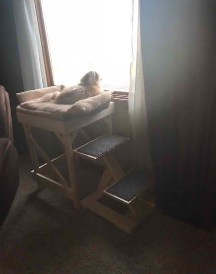 Photo of free Window Perch for Dog or plant stand (Romeoville) #1