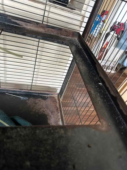 Photo of free Chinchilla pet cage & accessories (Hanworth TW13) #4
