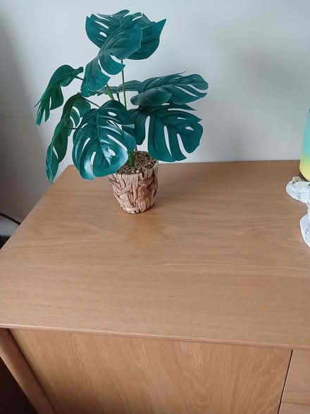 Photo of free Table top artificial plant (Waldridge Park DH2) #1