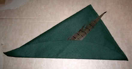 Photo of free Robin Hood Hat (OX14 Long Wittenham) #1