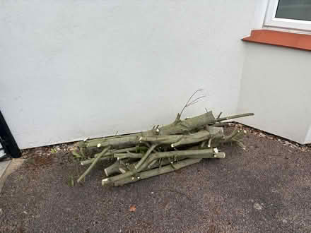 Photo of free Logs (Barnet, EN5) #1