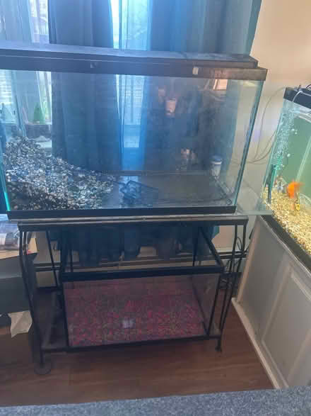 Photo of free Aquariums (ENY brooklyn) #1