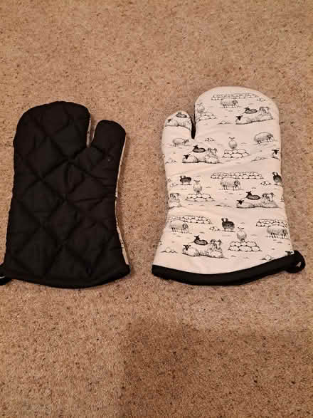 Photo of free Ovens mitts. (Molesey KT8) #2