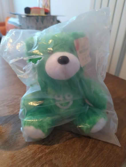Photo of free AO teddy bear (Leith, Edinburgh) #1