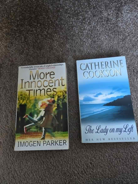 Photo of free Two Fiction Books (Lightwood ST3) #1