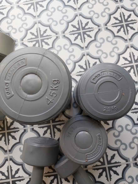 Photo of free Dumbbells (Southsea PO4) #1