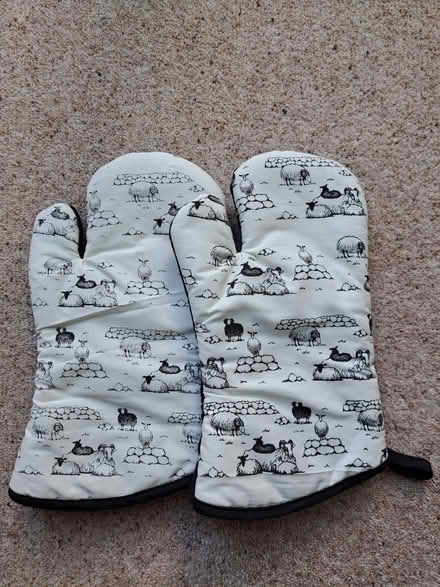 Photo of free Ovens mitts. (Molesey KT8) #1