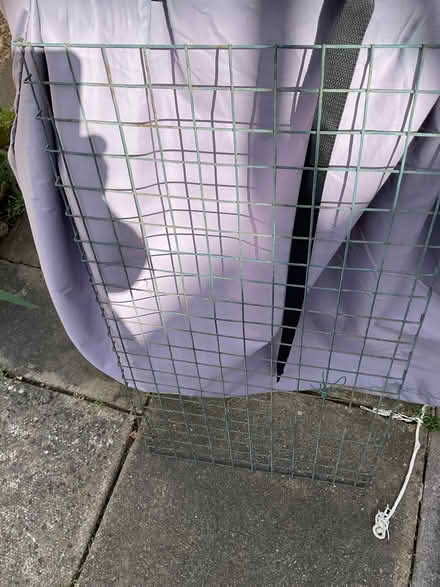 Photo of free Metal wire shelving from small greenhouses (Kingsway BA2) #1