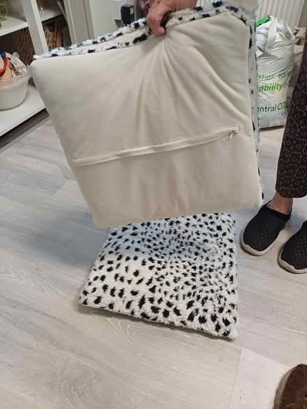 Photo of free 3 cushions (Yaxley) #2