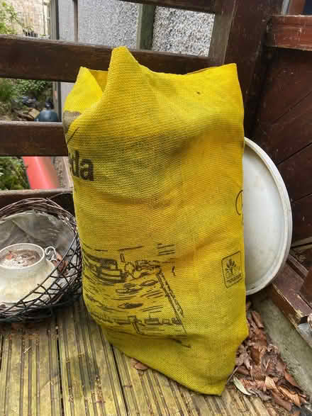 Photo of free Job lot of plant pots various sizes (Kendal LA9) #2