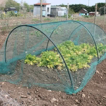 Photo of Hoops and /or insect mesh (Forest Green GL6) #1