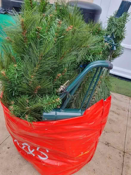 Photo of free Christmas tree 1.6cm tall. (Kendal LA9) #1