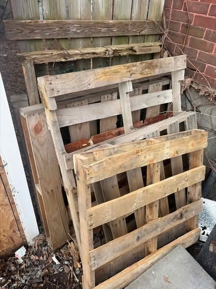 Photo of free Pallets large and small (K1Y) #1