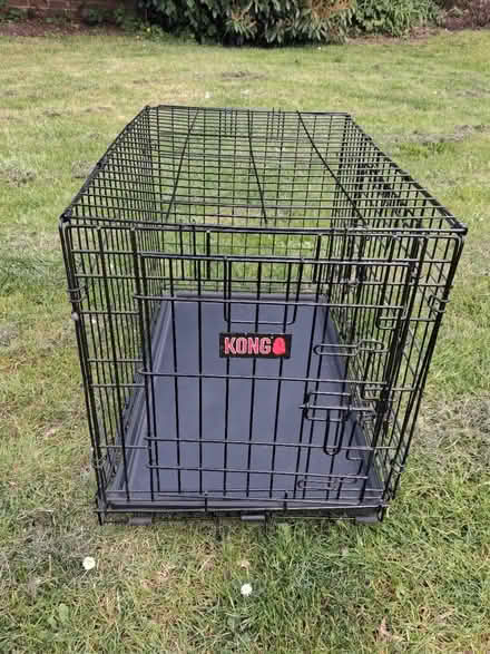 Photo of free Dog crate (Earley, Reading, RG6) #1