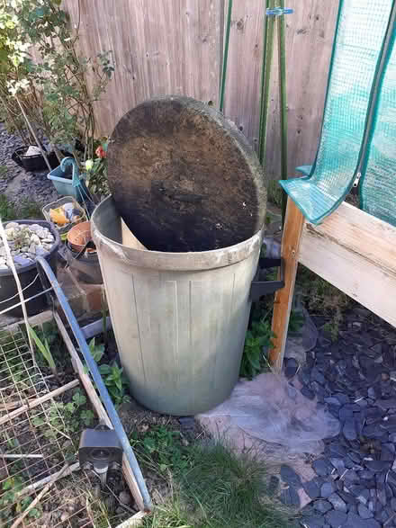 Photo of free Tall green bin with lid (Tonbridge TN9) #1