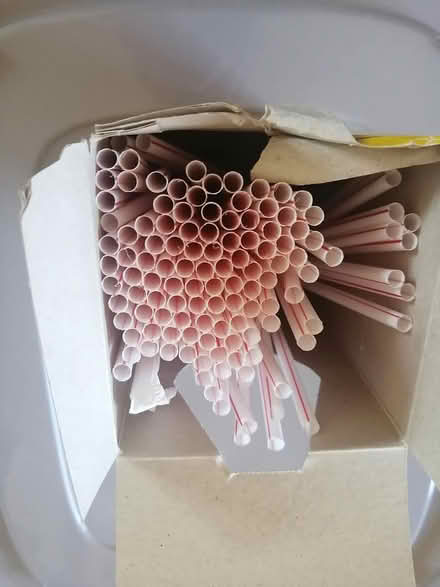 Photo of free Plastic Straws (Old Ottawa East) #2