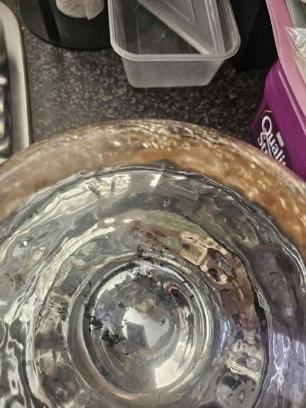Photo of free Gold bowl (Ashton in Makerfield WN4) #2
