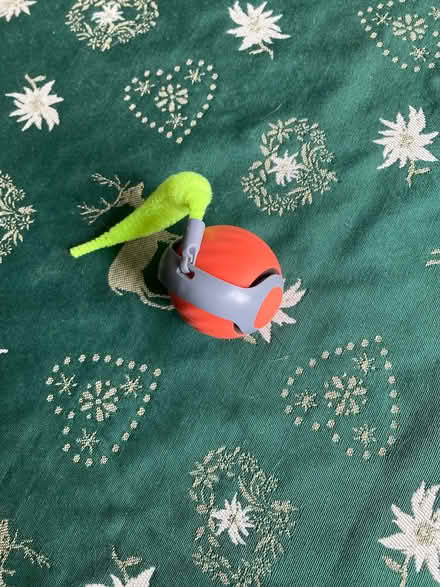 Photo of free Rechargeable cat toy (Headington OX3) #1