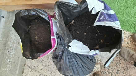 Photo of free Soil (BT6) #1