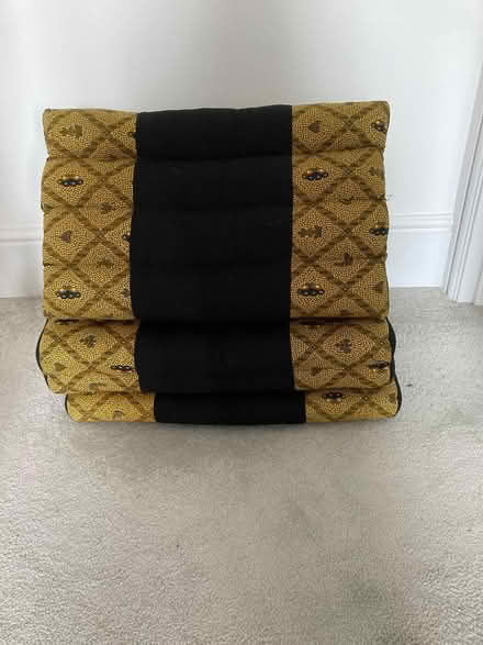 Photo of free 2 X Floor bolsters (West Leigh PO9) #2