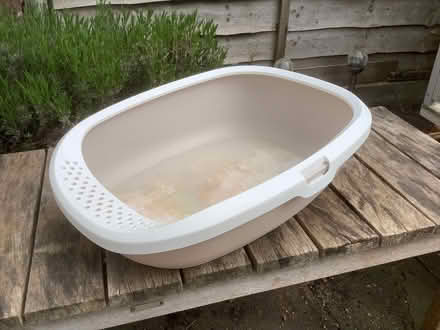 Photo of free Litter box (Widmore BR2) #1
