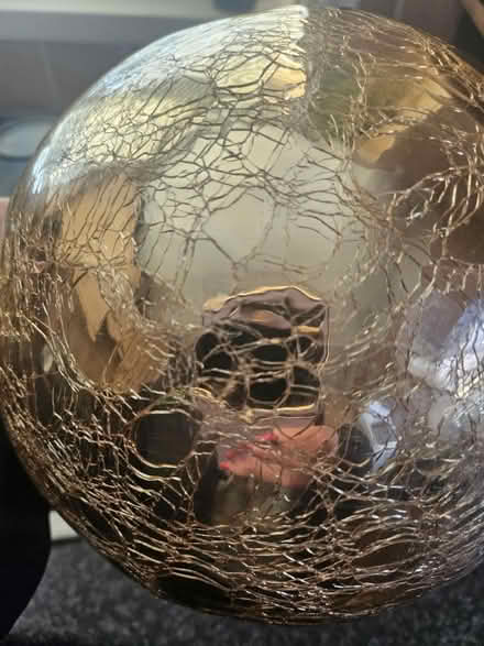 Photo of free Gold bowl (Ashton in Makerfield WN4) #4
