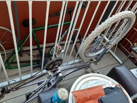 Photo of free Girls and man bike (Hounslow TW3) #2