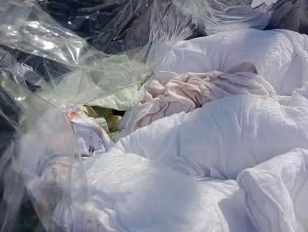 Photo of free Cot Bedding (Trow Point NE34) #2