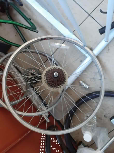 Photo of free Girls and man bike (Hounslow TW3) #4