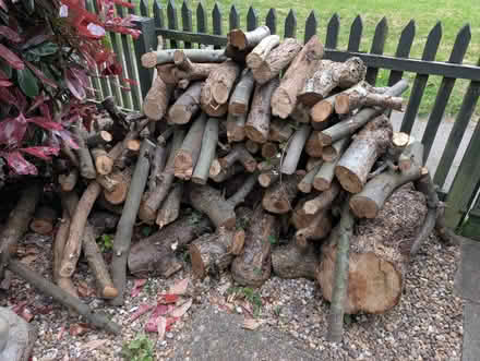 Photo of free Logs/ Firewood (Hemel Hempstead, HP2) #1