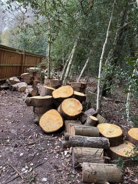 Photo of free Firewood / chopped wood (Virginia Water GU25) #1