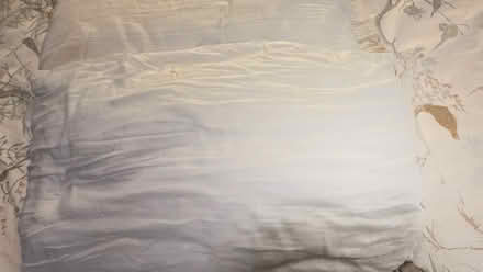 Photo of free 2 Side sleeper pillows (Southsea PO5) #1