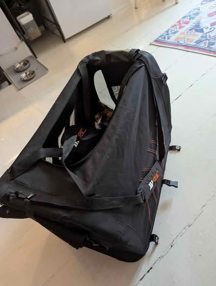 Photo of free RAC Medium Fabric Pet Carrier (SE3) #3