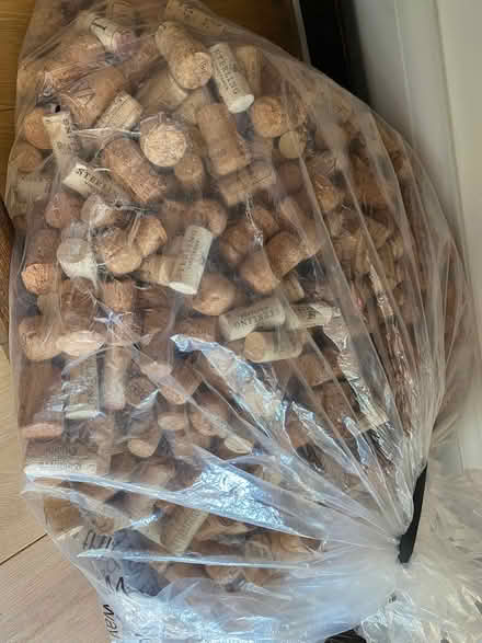 Photo of free Corks (Reigate RH2) #2