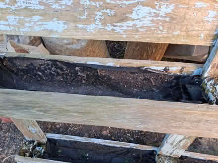 Photo of free Wooden planting pallet (Newtown GL20) #2