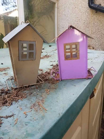 Photo of free Two Bird feeders (Orpington BR5) #1