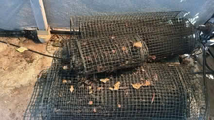Photo of free Netting for yard (Sherman Oaks) #1