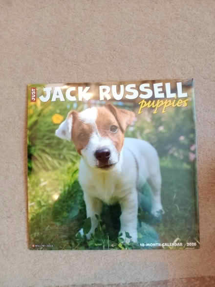 Photo of free Jack Russell 2026 calendar (Jackman's estate, Letchworth) #1