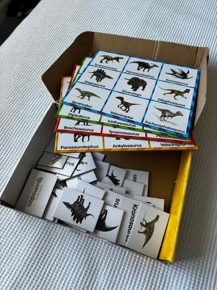 Photo of free Dinosaur bingo (Waterlooville PO7) #2