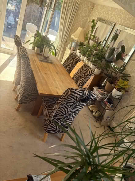 Photo of free Dining furniture (Llanddulas LL22) #1